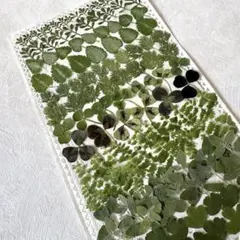 くろしろう様 リクエスト 2点 まとめ商品