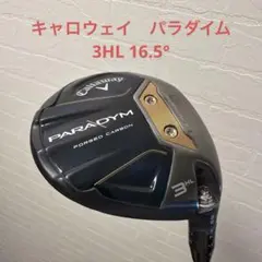 2025年最新】パラダイム 3wの人気アイテム - メルカリ