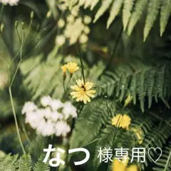 なつ様 リクエスト 2点 まとめ商品