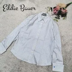 【エディー・バウアー】レディース シャツ リクルート ブルー ストライプ