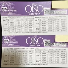 大磯ロングビーチ 入場割引券 2枚セット 2026年のサムネイル
