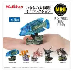 いきものの大図鑑ミニコレクション 『サンゴ礁に住む生き物』全5種