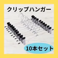 クリップハンガー お得な10本セット スカート パンツ 収納 物干し