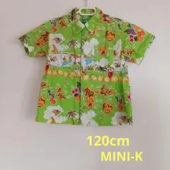 Item thumbnail for item f42858ed-f7e5-47ec-b74f-f17eacf1496e