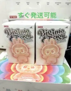 2025年最新】POPMART labubu シークレットの人気アイテム - メルカリ