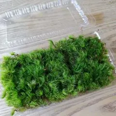NH by YUZU様 リクエスト 3点 まとめ商品