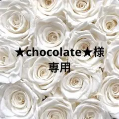 ★chocolate★様の専用ページ