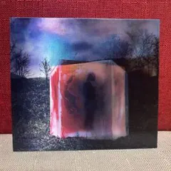 the GazettE DIM初回盤　ヴィジュアル系　V系