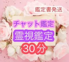 【本日のみ値下げ】30分間　占い放題　チャット鑑定