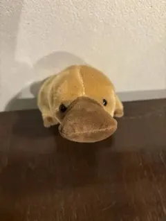 専用　ぷきゅーと！カモノハシ　ぬいぐるみ