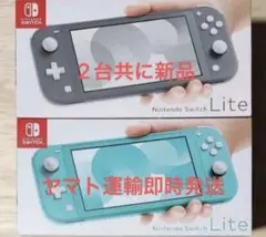 新品 Nintendo Switch Lite グレー ターコイズ 2台 即発送のサムネイル