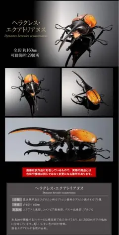 ヘラクレスエクアトリアヌス いきもの大図鑑アドバンス