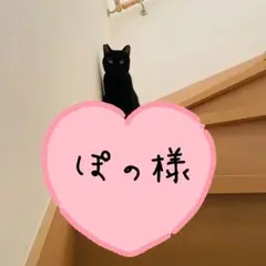 ぽの様