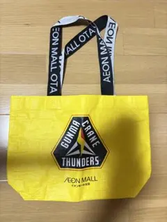 群馬クレインサンダーズ⭐︎観戦バッグ