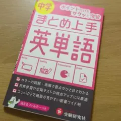 あみゅ様 リクエスト 2点 まとめ商品