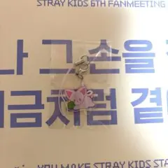 スキズ 6TH 韓国ペンミ 入場特典 ストラップ 4/4 アイエン フォクシニ