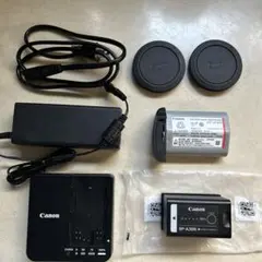 ☆LUMIX DC-S1Rボディ☆美品！バッテリー2個付ショット数4,832回