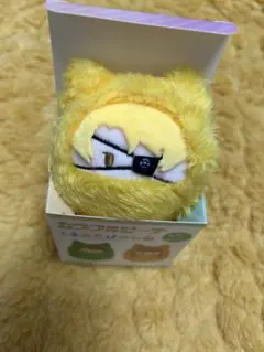 カラピチ　たっつん　くるみたぴぬい　たぴぬい　くるみたぴ　からぴち
