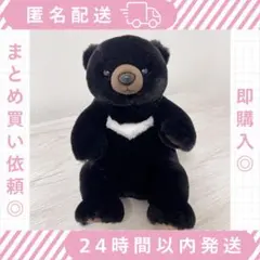 LUNA SEA ルナシー テディベア ぬいぐるみ タワーレコード - メルカリ