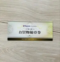 ヤマダ電機　株主優待券 500円 6枚セット