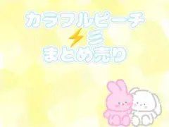 カラフルピーチ　たっつんさん　まとめ売り