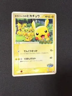 プロモ　未開封　ポケパークのピカチュウ ルギア　スイクン　ラティオス　アチャモ プロモ 未開封 ポケパークのピカチュウ ルギア スイクン