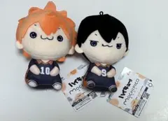 ハイキュー　もちぴこ　日向翔陽・影山飛雄