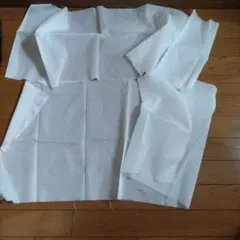 Item thumbnail for item 2c9880e7-e8d0-4f90-a112-f61e025d3099