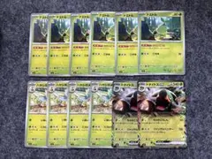 ナエトル ハヤシガメ ドダイトスex セット ポケモンカード
