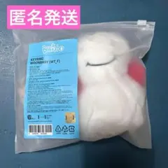 BOYNEXTDOOR プネクド ウナク　キーリング 新品未開封　WHO