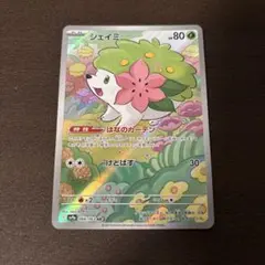 シェイミ AR スカーレット&バイオレット 強化拡張パック 熱風の
