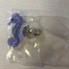 雨の海に浮かぶ　タツノオトシゴ　ガチャ　めじるしアクセサリー