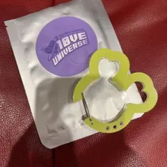 TWICE 10VE UNIVERSE カラビナ　ジョンヨン　おまけ付き