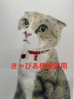 きゃびあ様確認ブレスレット