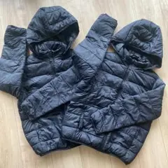 双子 100 コート