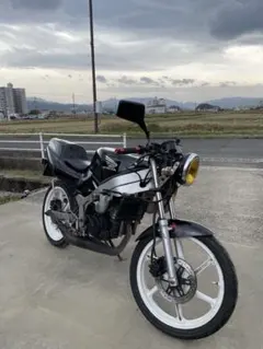 値下げしました!ns-1実働車 Yahoo!オークション - HONDA NS-1 AC12 実働 始動動画有り 取り消し無