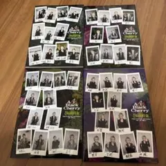 2025年最新】acid black cherry グッズ セットの人気アイテム - メルカリ