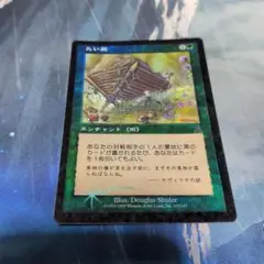 MTG たい肥　Foil 初版
