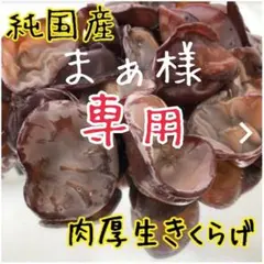 【まぁ様】採れたて農家直送⭐️特選生きくらげ1キロ⭐️