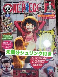 ワンピースマガジン 新品未開封 ワンピース カード ルフィ プロモカード付 1冊