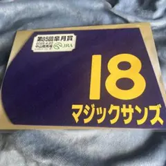 【日本ダービー限定販売　ミニゼッケン】三連単　2025 日本ダービー限定販売 ミニゼッケン】三連単 2025 ターフィー