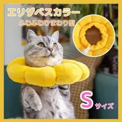 Item thumbnail for item 6b39cd17-402d-4ddb-81b7-95422f257e6f