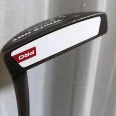 Item thumbnail for item 2ee1b249-a007-46c4-9f0c-c83c8754331d