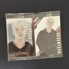 SEVENTEEN セブンティーン セブチ ウエハース スングァン