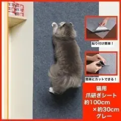 大判 猫用 爪とぎシート グレー 壁紙保護シート 傷防止 爪とぎ防止 カット
