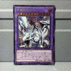 2026年最新】究極竜魔導師 ウルトラの人気アイテム - メルカリ