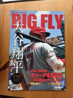 BIG FLY 大谷翔平 2023 岩手日報社