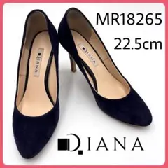 Item thumbnail for item 42901a18-0ed9-45e6-bc81-2ddd799f355a