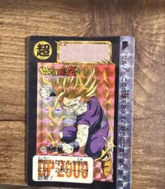 ドラゴンボールZ　カードダス　孫悟飯　603