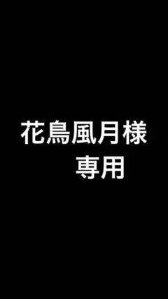専用ページ